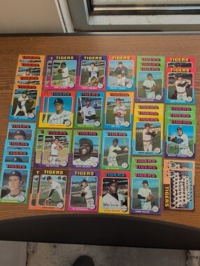 Vintage 1975 Baseball Cards Collection - Tigers